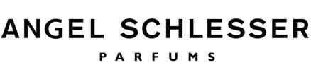 Angel Schlesser Logo