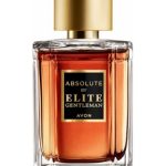 absolute by elite gentleman avon