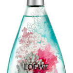 agua de loewe mar de coral perfumes by loewe