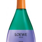 agua miami perfumes by loewe