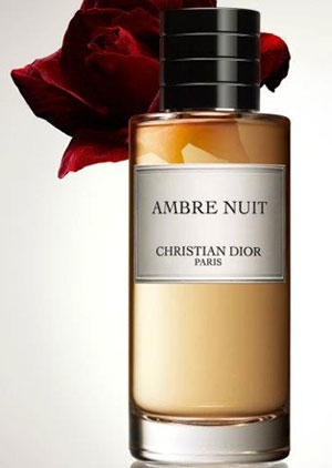 ambre nuit christian dior dior