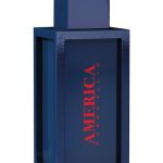 america perfumes by perry ellis