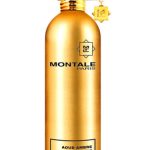 aoud ambre montale