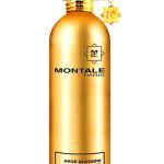 aoud blossom montale