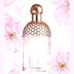 aqua allegoria cherry blossom guerlain