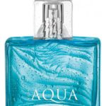 aqua for him avon