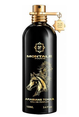 arabians tonka montale