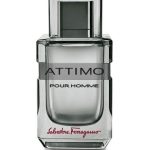 attimo pour homme perfumes by salvatore ferragamo