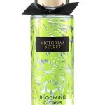 blooming citrus perfumes by victorias secret