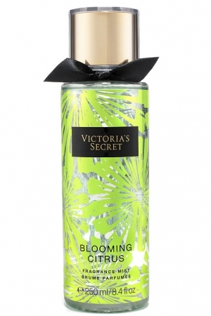 blooming citrus perfumes by victorias secret