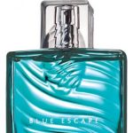 blue escape for him avon