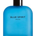 blue spirit zara