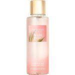 bright palm perfumes by victorias secret