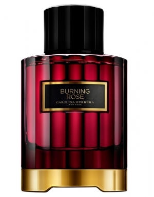 burning rose carolina herrera