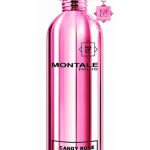 candy rose montale