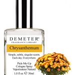 chrysanthemum demeter