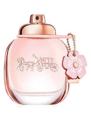 coach floral eau de parfum coach