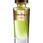 convivio perfumes by salvatore ferragamo