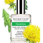 dandelion demeter