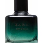 dark emerald zara