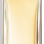 dior addict eau de toilette dior