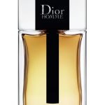 dior homme 2020 dior