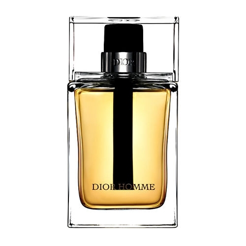 dior homme dior