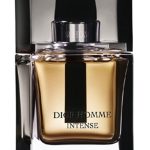 dior homme intense 2007 dior