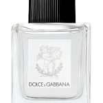 dolcegabbana perfume for babies perfumes by dolce gabbana