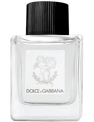 dolcegabbana perfume for babies perfumes by dolce gabbana