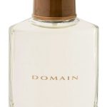 domain perfumes by mary kay