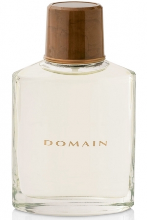 domain perfumes by mary kay