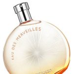 eau des merveilles limited edition 2013 hermes