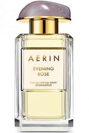 evening rose aerin