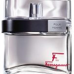 f by ferragamo pour homme perfumes by salvatore ferragamo