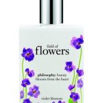 field of flowers violet blossom philosophy