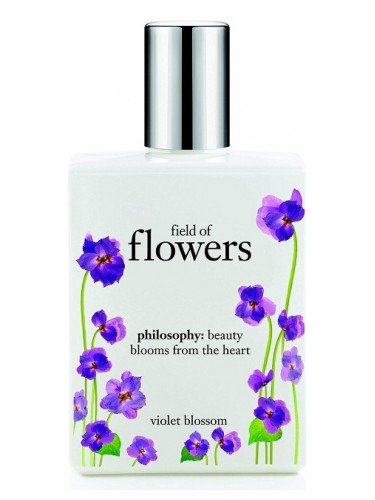 field of flowers violet blossom philosophy