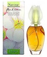 fleur de narcisse chloe