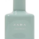 forget me not zara