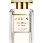 gardenia rattan aerin