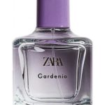 gardenia zara