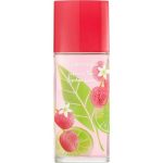 green tea lychee lime elizabeth arden