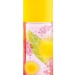 green tea mimosa elizabeth arden