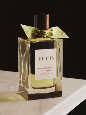 hawthorn bloom burberry