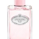 infusion de rose prada