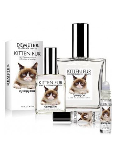 kitten fur grumpy cat demeter