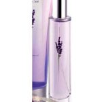 lavender avon