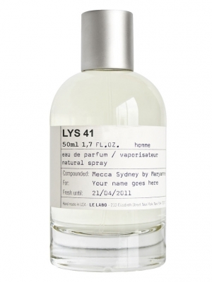 lys 41 le labo