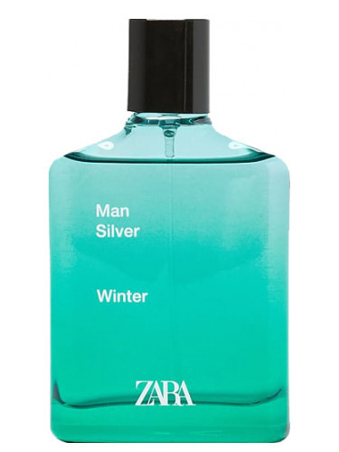 man silver winter zara