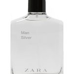 man silver zara